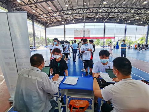疫情影響下蔡甸職校生 從校門到廠門無縫對接，職業中介服務助力就業關